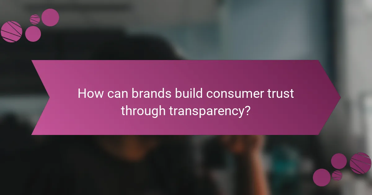 How can brands build consumer trust through transparency?