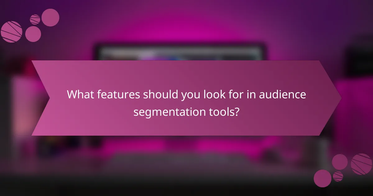 What features should you look for in audience segmentation tools?